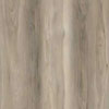 AR111 Sierra Sands